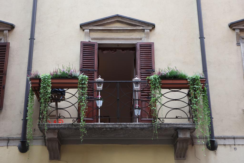 Arche Verona